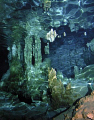   Cenotes Fresh Water Cavern. Strobe used Create Refraction Effect. Cavern Effect  